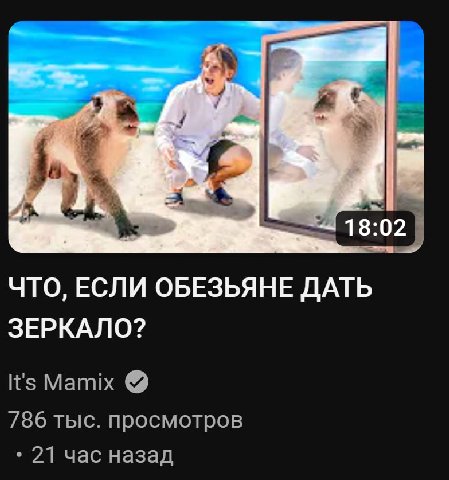 получится мать шлюха Мамикса которая собирается на трассу