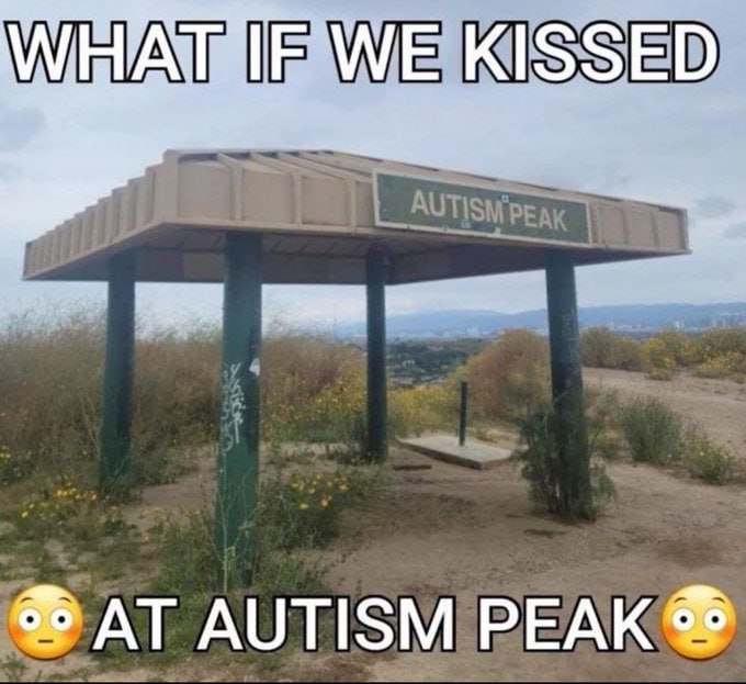 IF AT AUTISM PEAK