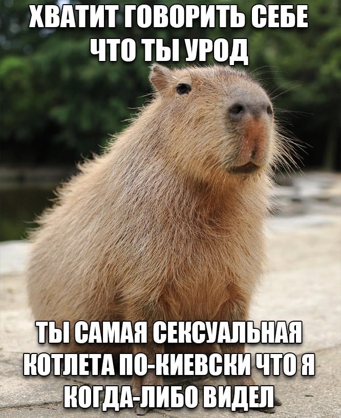 ХВАТИТ ГОВОРИТЬ СЕБЕ ЧТО ТЫ УРОД САМАЯ СЕКСУАЛЬНАЯ} КОТЛЕТА ПО-КИЕВСКИ ЧТО