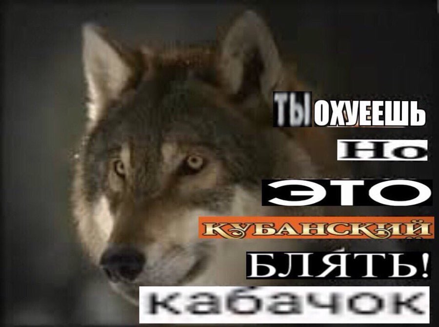 ОХУЕЕШЬ