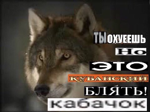 ОХУЕЕШЬ