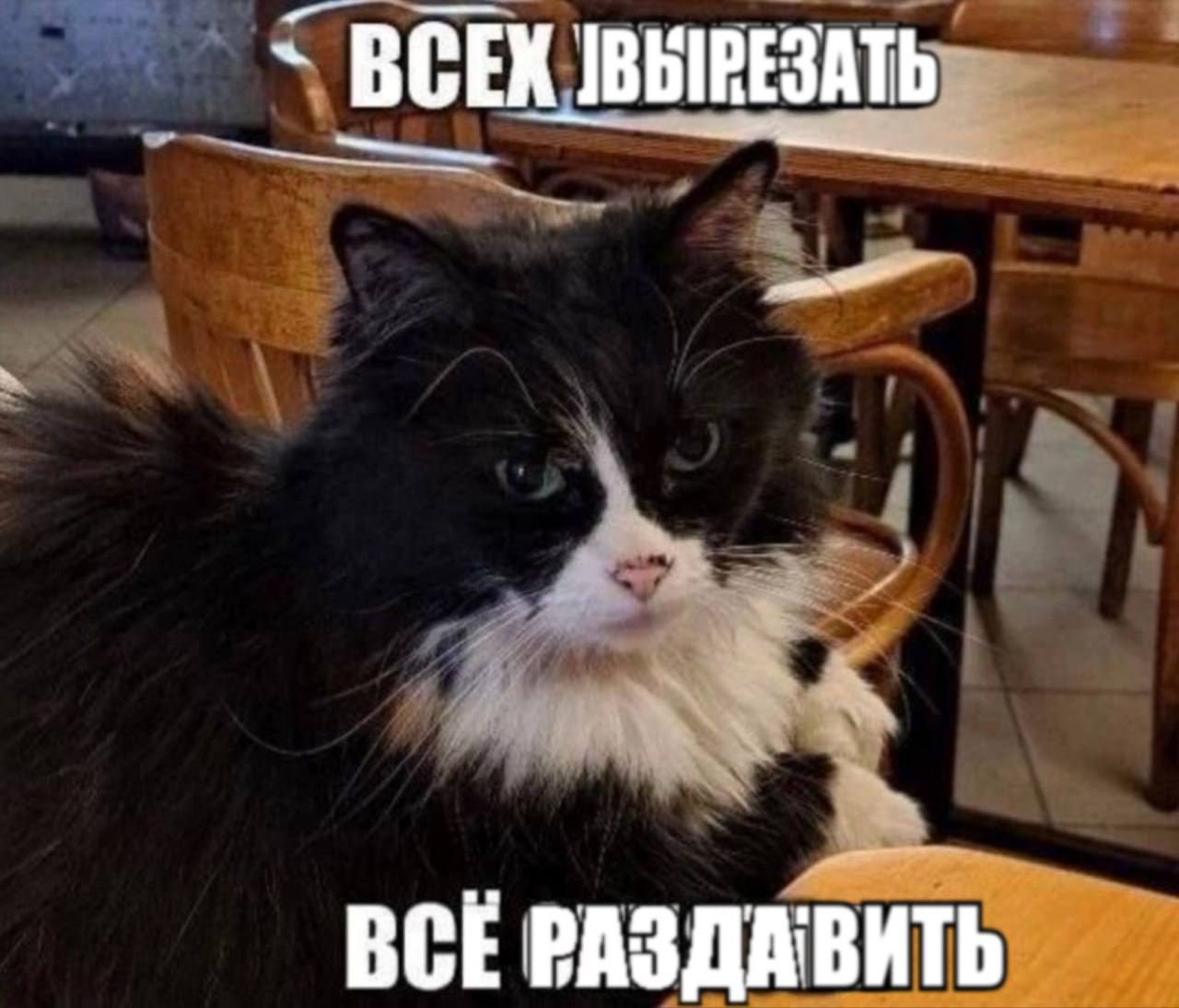 ВСЕХ BCE РАЗДАВИТЬ