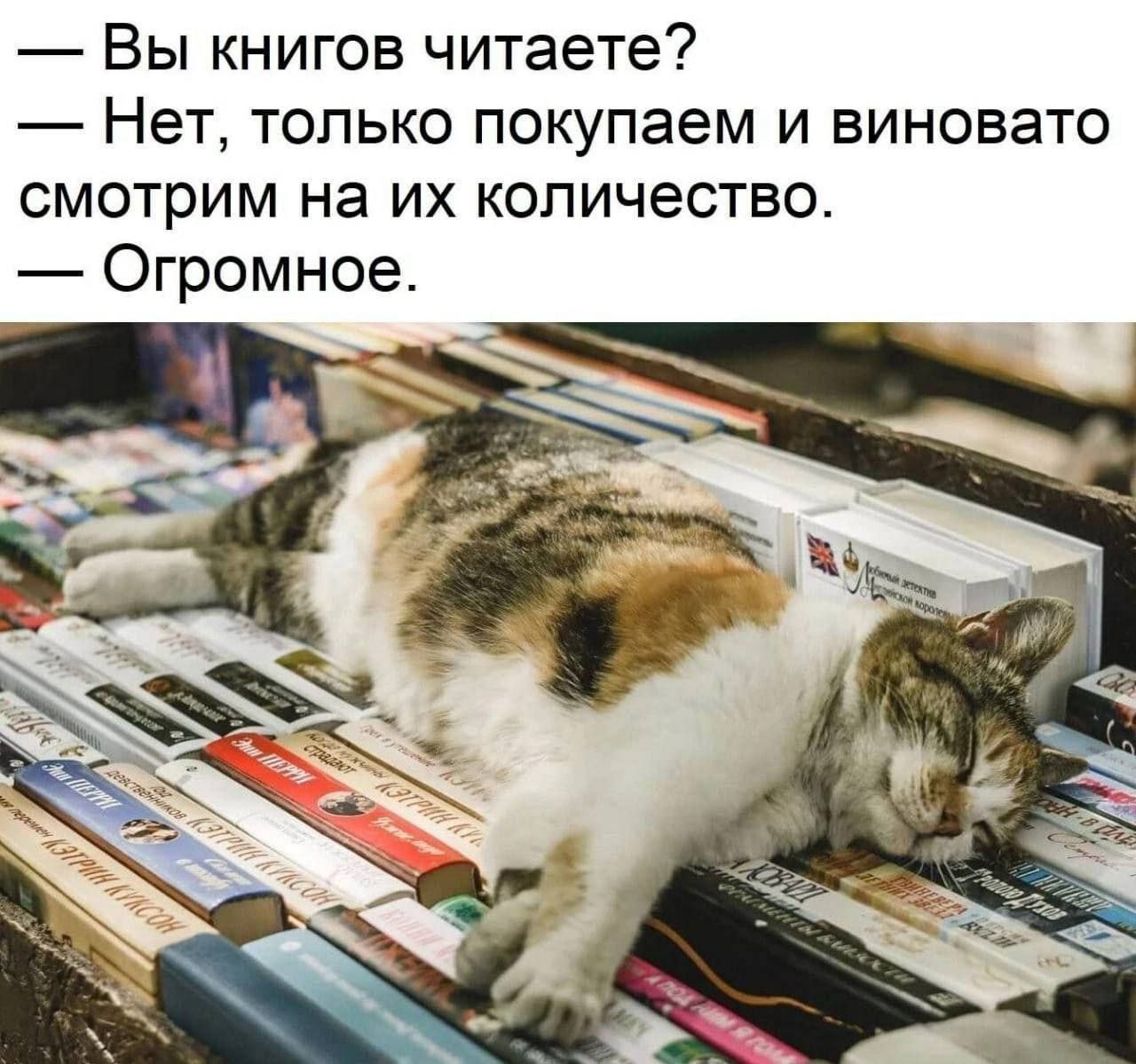 Вы книгов читаете? Нет, только покупаем и виновато смотрим на количество. Огромное.
