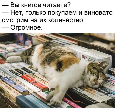 Вы книгов читаете? Нет, только покупаем и виновато смотрим на количество. Огромное.