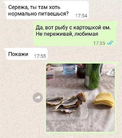 Сережа, ты там хоть нормально питаешься? 17:54 Да, вот рыбу с картошкой Не переживай, любимая 17:55 Покажи 17:55