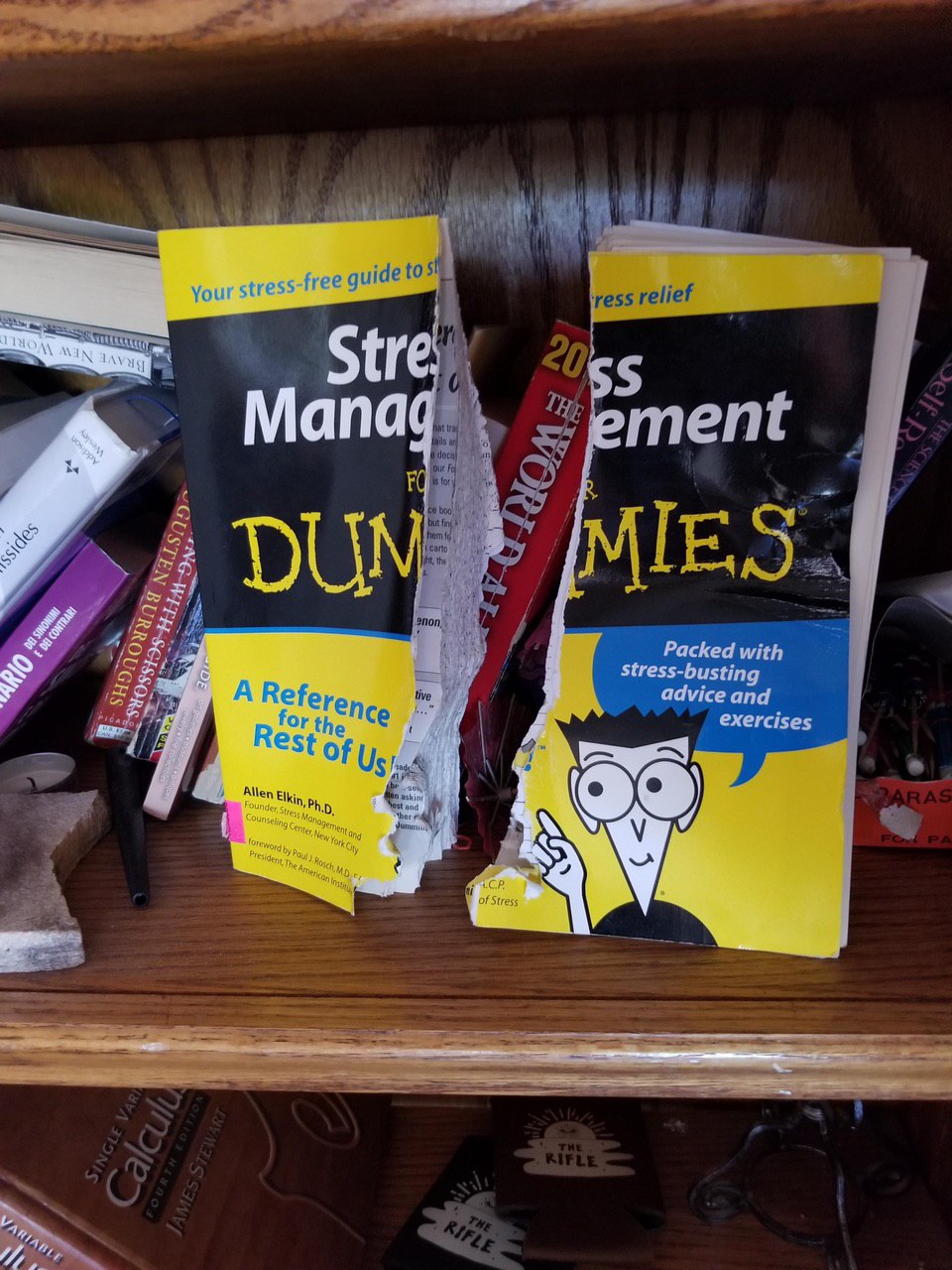 Your stress free emeni anag DUN stress-busting Packed with A advice and for the exercises est of