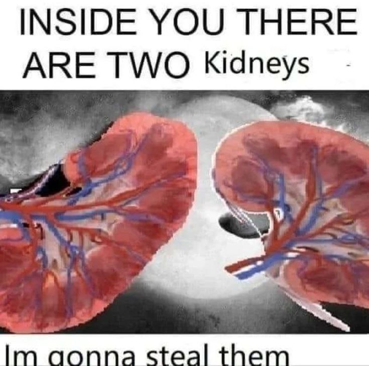 INSIDE YOU THERE ARE TWO Kidneys