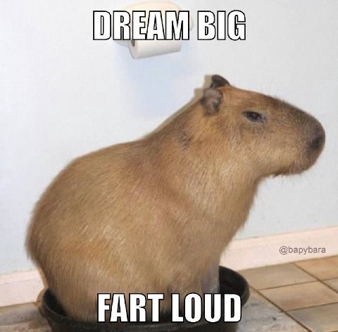 @bapybara FART