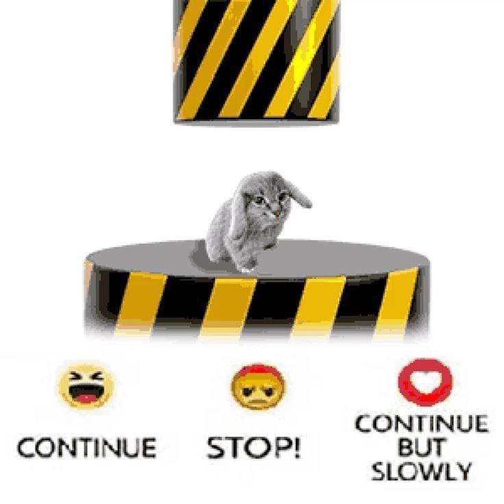 CONTINUE CONTINUE STOP! BUT SLOWLY
