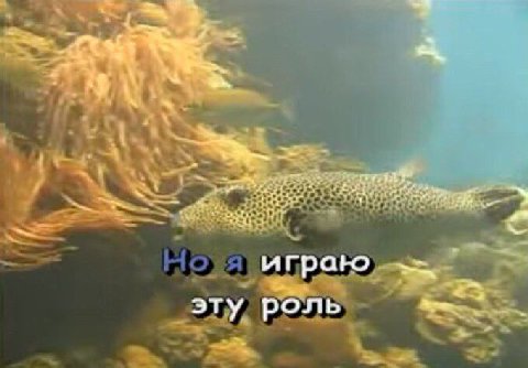 играю эту роль