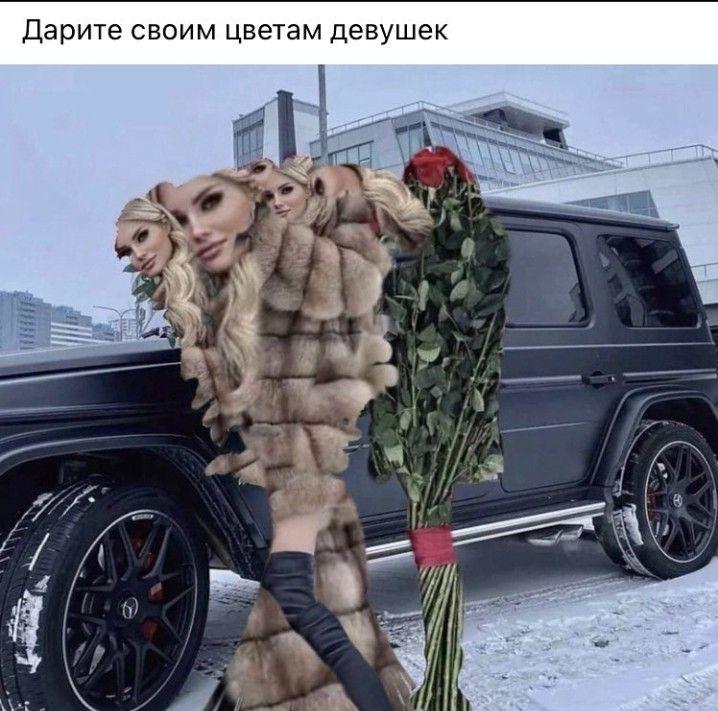 бля есть у кого картинка где эта баба титан из атаки титанов занесите пожалуйста я крайне разъебываюсь