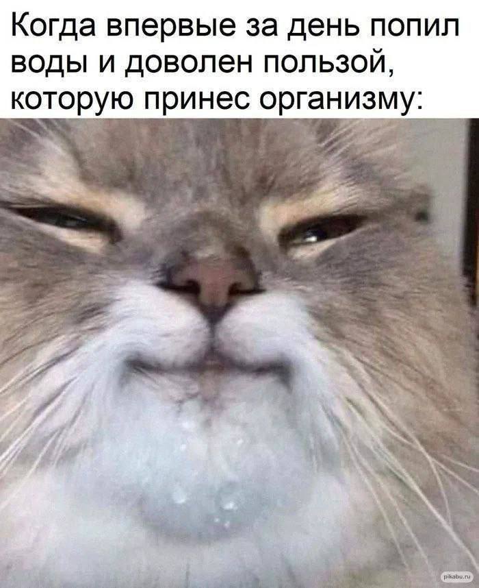 Когда впервые за день попил воды и доволен пользой, которую принес организму: