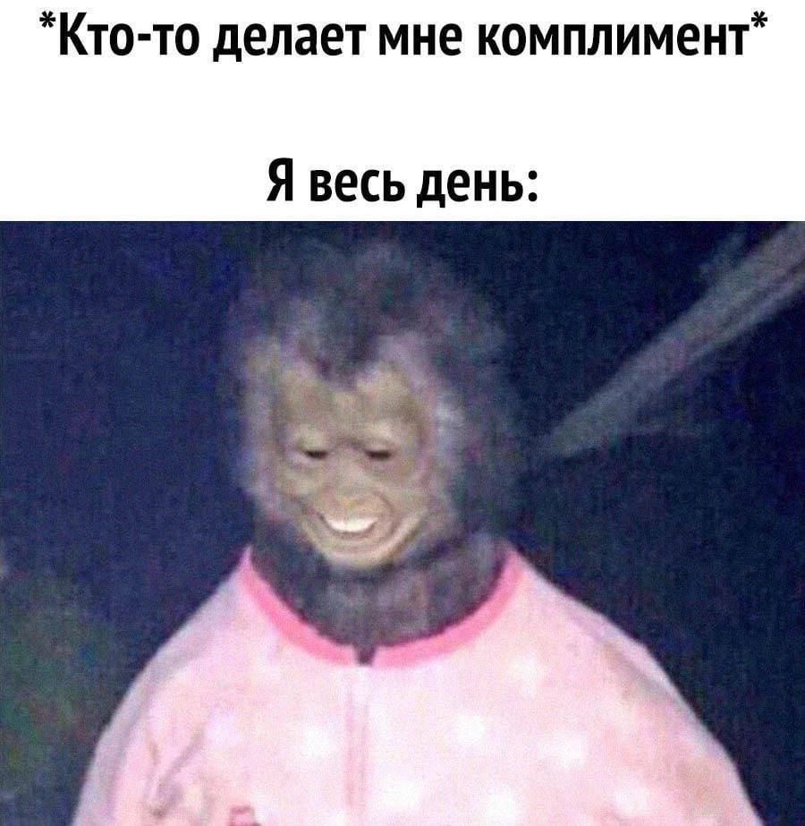 *Кто-то делает мне комплимент” Я весь день: