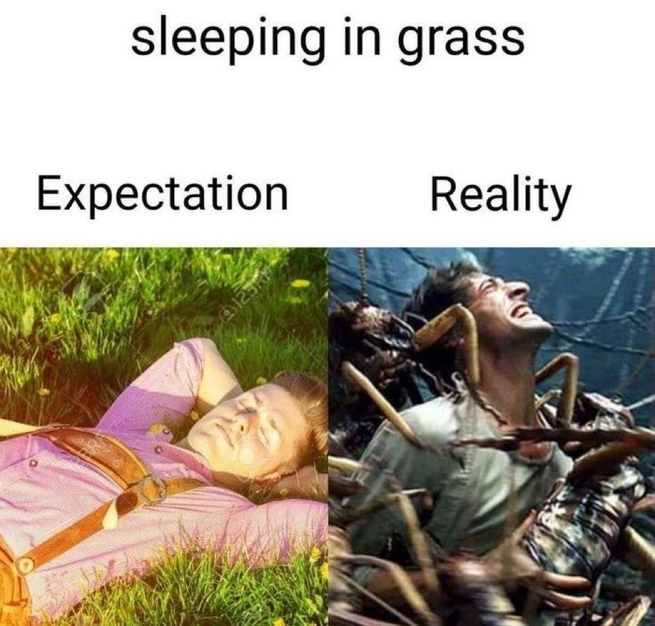 sleeping in grass Expectation Reality A