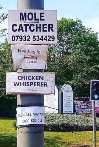 534429 3 thy 3 и Frog Juggler a 3 3624360 и с. a i. CHICKEN WHISPERER 1 7 JIRREL A 4