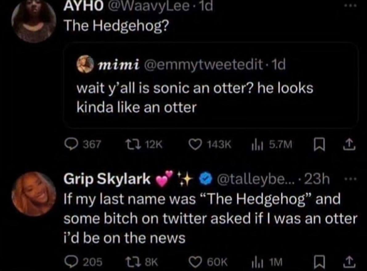 “У АУНО .1а The Hedgehog? mimi wait y’all is sonic an otter? he looks kinda like an otter 367 Grip Skylark @talleybe...-23h my last name was “Тре Hedgehog” and bitch on twitter asked if was an otter b