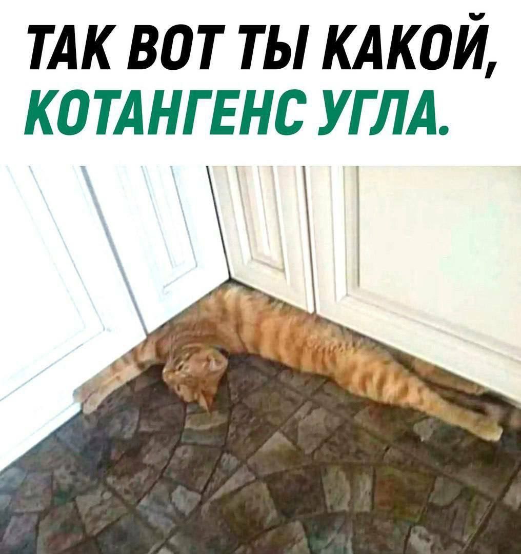 ТАК ВОТ ТЫ КАКОЙ, КОТАНГЕНС УГЛА.