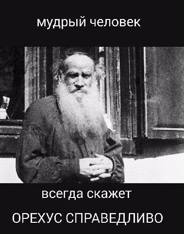 мудрый человек всегда скажет ОРЕХУС СПРАВЕДЛИВО