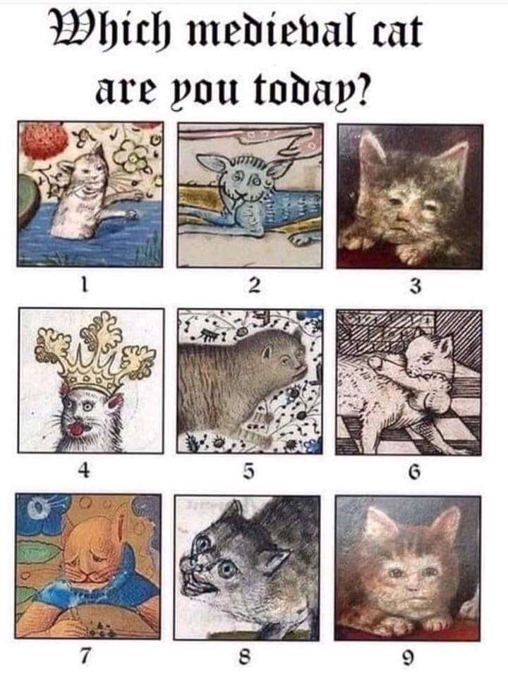 Which medieval cat are pou todap? 4 2 3 5 6 a 4 7 8 9