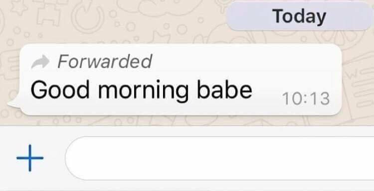 Today Forwarded Good morning бабе