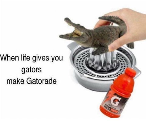 When life gives you gators make Gatorade