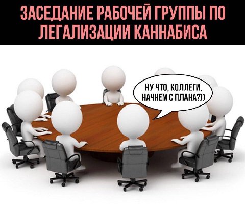 ЗАСЕДАНИЕ РАБОЧЕЙ ГРУППЫ ПО ЛЕГАЛИЗАЦИИ КАННАБИСА