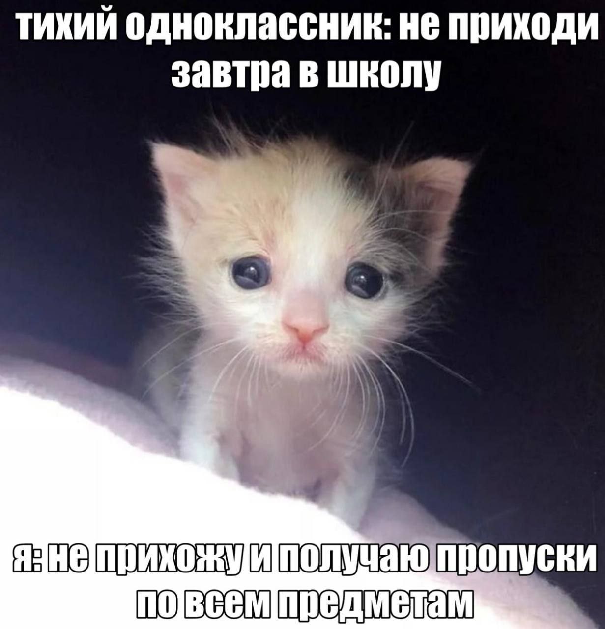 тихий одноклассник: не приходи завтра в Школу получаю пропуски