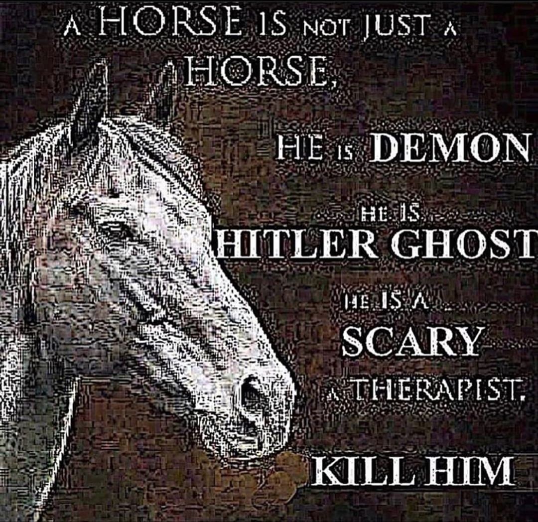НОКЪЕ nar JUST А OHORSE, НЕв DEMON HITLER GHOST i HE SCARY 31442) к: DETERA KILL HIM