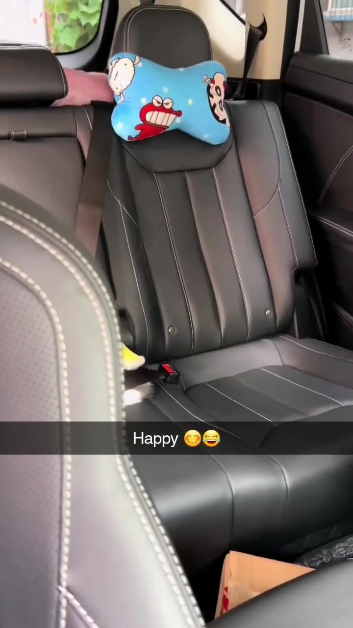 Happy