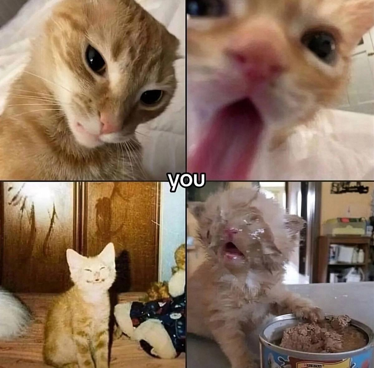 i YOU