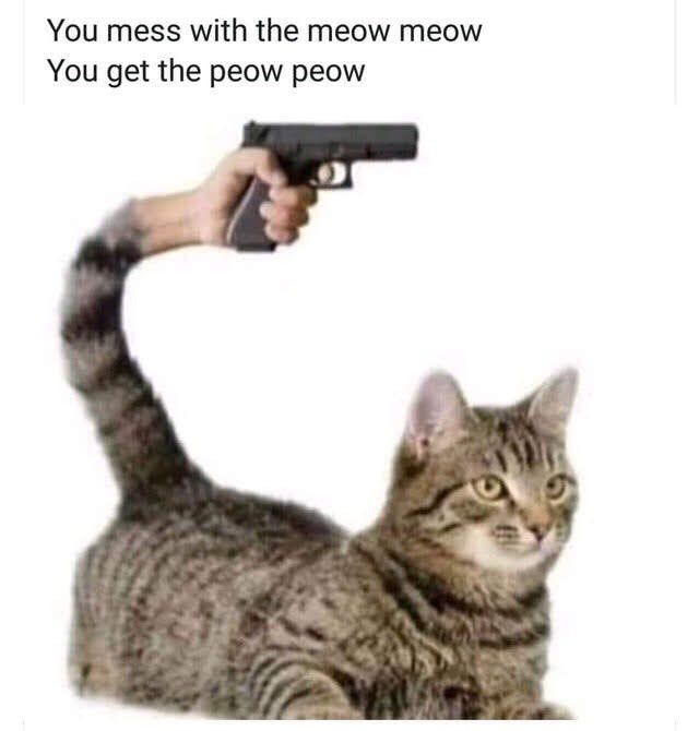 You mess with the meow meow You get the peow peow