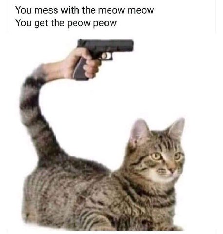 You mess with the meow meow You get the peow peow