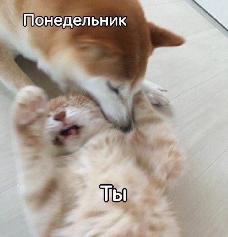 Понедельник