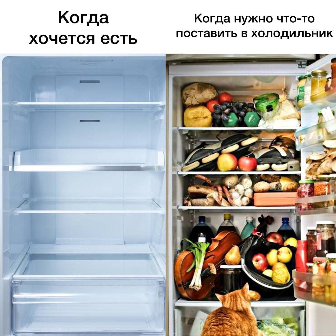 Когда Когда нужно что-то хочется есть поставить в холодильник aor
