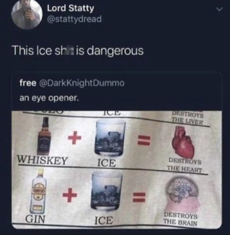 Lord Statty This sht is dangerous free @DarkKnightDummo an eye opener. 4 ESTROYS WHISKEY ICE DESTROYS DESTRoy: GIN ICE ТНЕ BRAIN