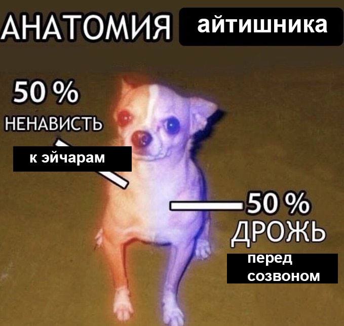 АНАТОМИЯ айтишника 50 НЕНАВИСТЬ к эйчарам 50 ДРОЖЬ перед СОЗВОНОМ