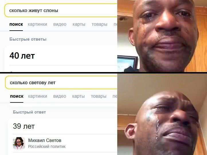сколько живут слоны поиск картинки видео карты товары we Быстрые ответы 40 лет 7 сколько светову лет поиск картинки видео карты товары Быстрый ответ 39 лет -а Михаил Светов Российский политик