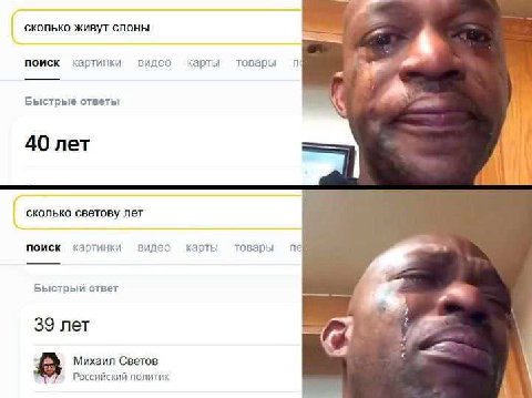 сколько живут слоны поиск картинки видео карты товары we Быстрые ответы 40 лет 7 сколько светову лет поиск картинки видео карты товары Быстрый ответ 39 лет -а Михаил Светов Российский политик