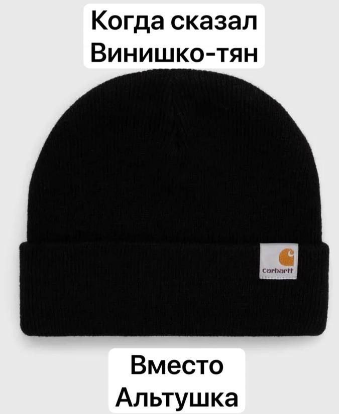Когда сказал Винишко-тян Вместо Альтушка
