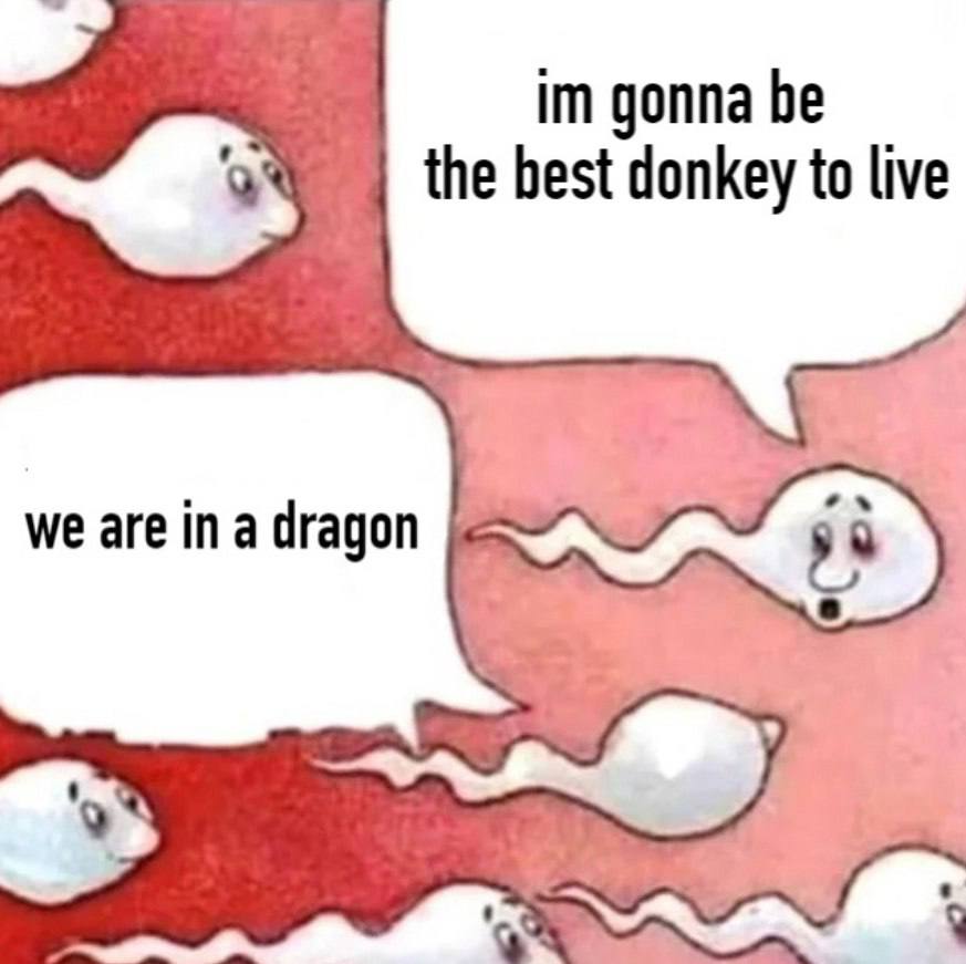 gonna be the best donkey to live we are in a dragon