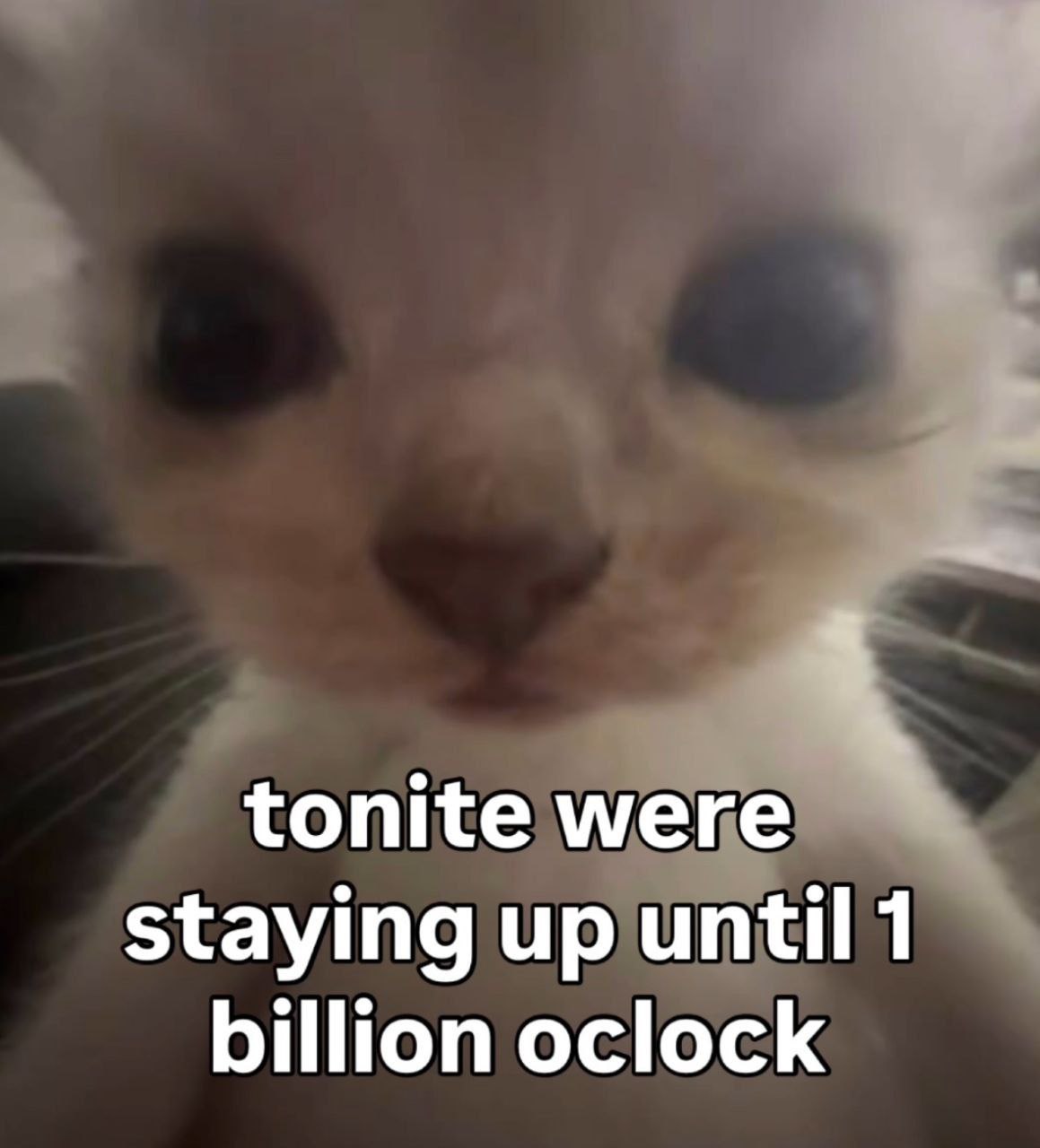 tonite were staying up until 1 billion oclock