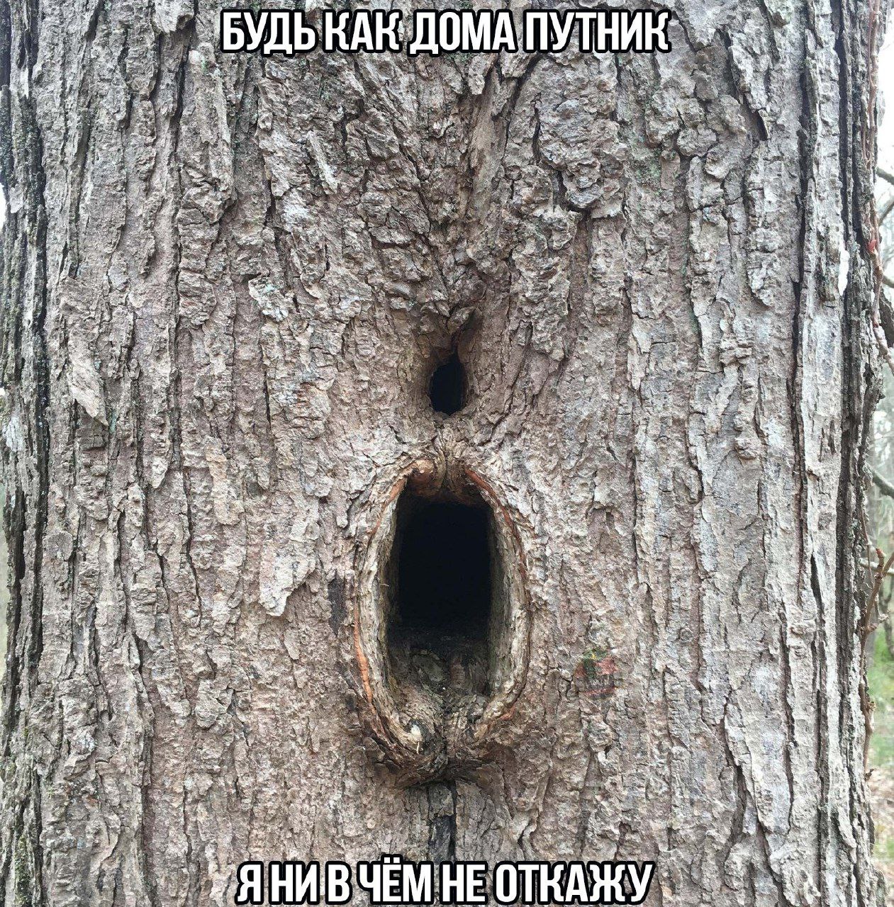 Б МАП 9: is 3 at. a A A НИВЧЕМНЕО
