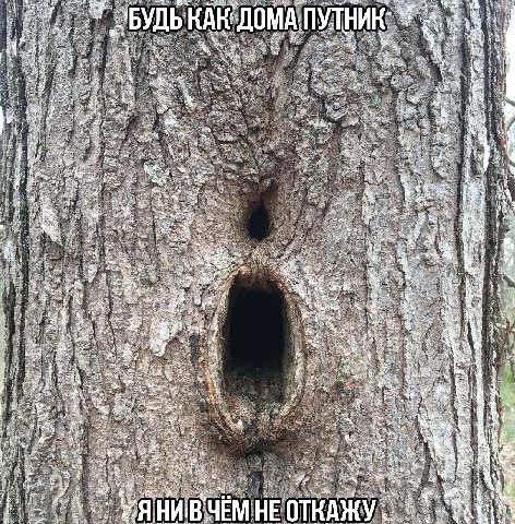 Б МАП 9: is 3 at. a A A НИВЧЕМНЕО