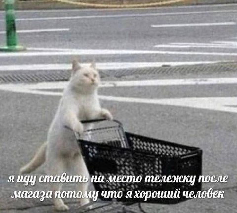 я иду ставит на место тележки после ‚магаза потому что я хороший челобек