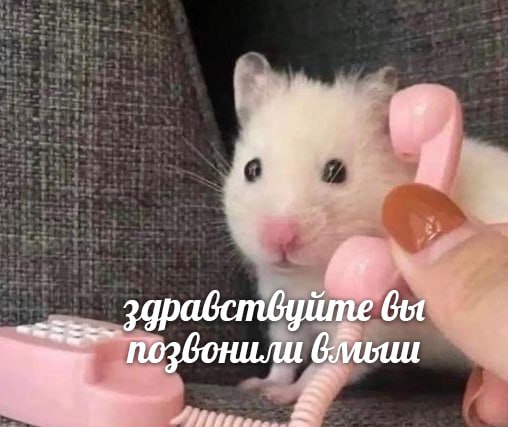 здравствуйте