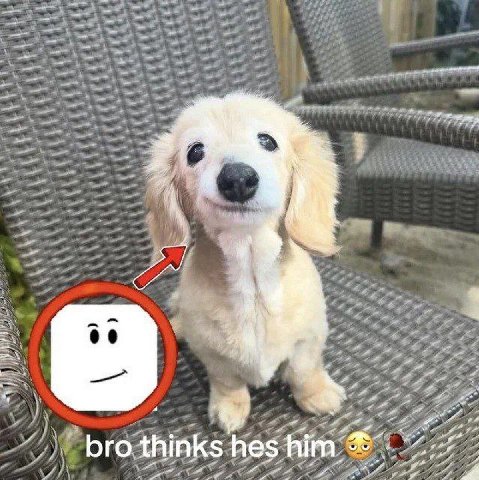 06 bro thinks hes him
