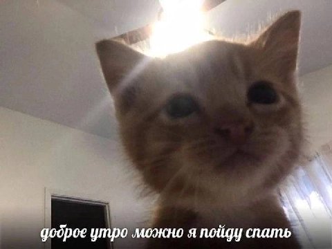 додрое утро можно я пойду спать