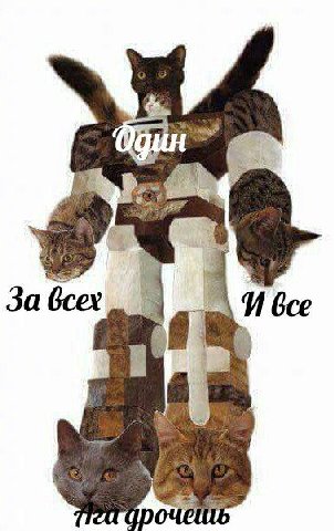 fea у За bcex Я bce