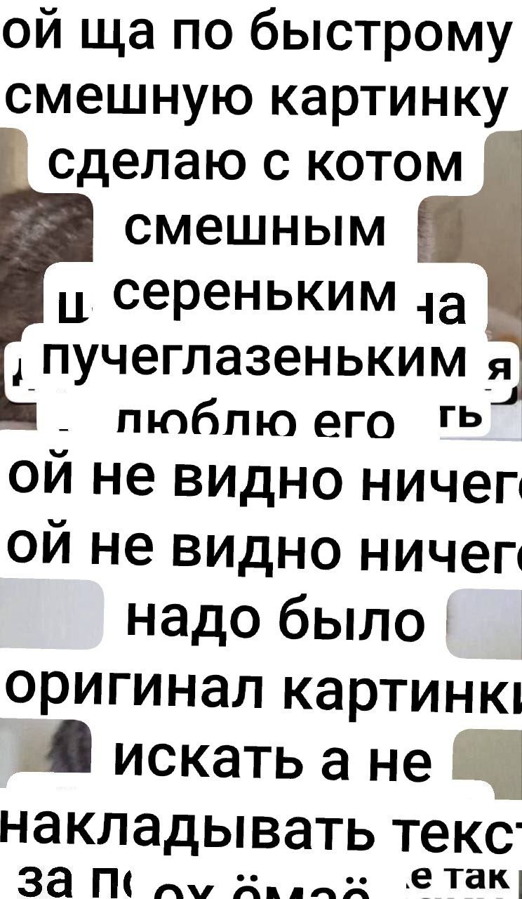 по быстрому смешную картинку сделаю с котом смешным и сереньким пучеглазеньким я пюблю его не видно ничег не видно ничег надо было. оригинал картинк искать а накладывать текс за