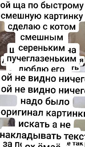 по быстрому смешную картинку сделаю с котом смешным и сереньким пучеглазеньким я пюблю его не видно ничег не видно ничег надо было. оригинал картинк искать а накладывать текс за
